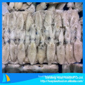 Supply baby squid frozen loligo japonica for sale